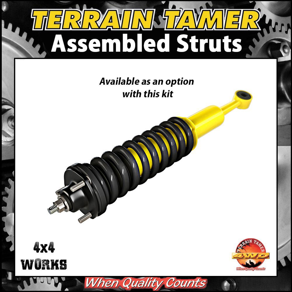 Pre-assembled shocks struts and springs pair