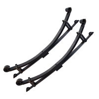 Pair of Terrain Tamer parabolic leaf springs for 4x4 models
